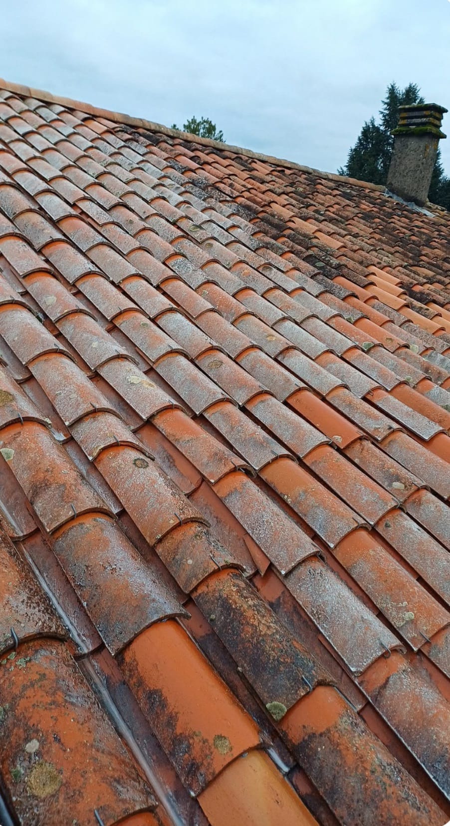 Vue d'ensemble d'un toit en tuiles en Charente