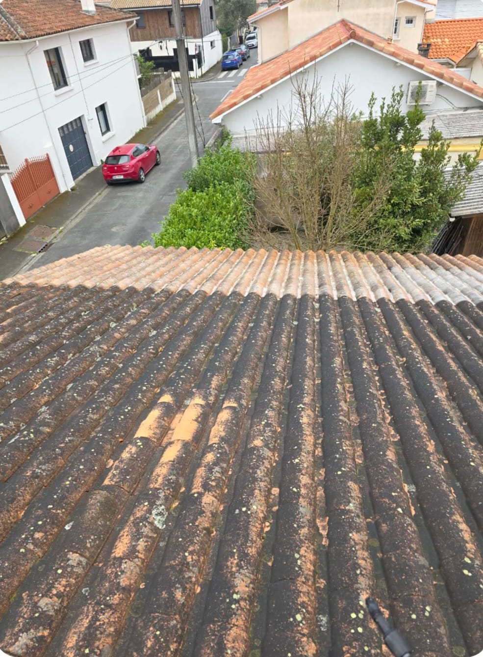 Toiture ancienne avec mousses avant nettoyage